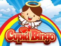 Casino game 14